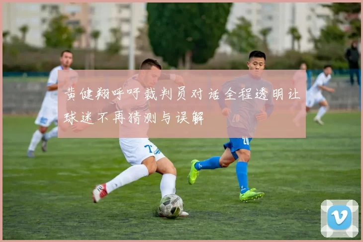 黄健翔呼吁裁判员对话全程透明让球迷不再猜测与误解