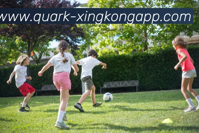 星空体育APP 高清赛事图